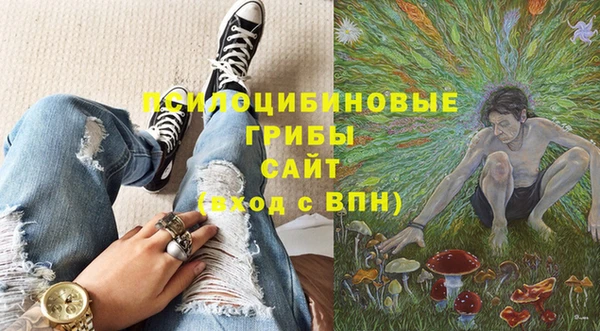 амф Алзамай