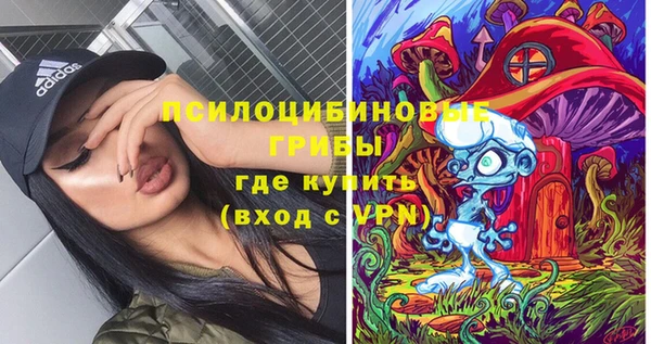 амф Алексин