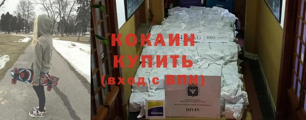 амф Алексин