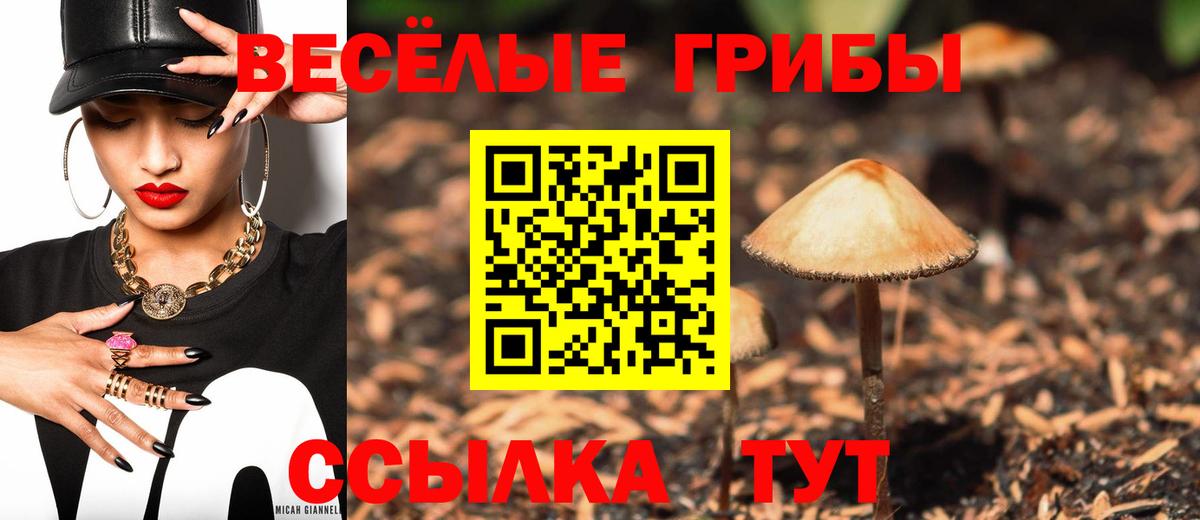 Псилоцибиновые грибы Magic Shrooms  что такое   Чайковский  Вход с VPN 